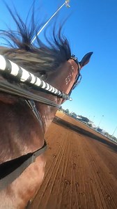Take a ride with BULLDOG HANOVER from The Red Mile! Listen for the end as the crowd applauds him even after a tough beat by ALLYWAG Hanover. What a horse and we have more racing coming your way from this great champion. **We are still working on our Facebook Live feed and will look to have it ready for the future. | United States Trotting Association