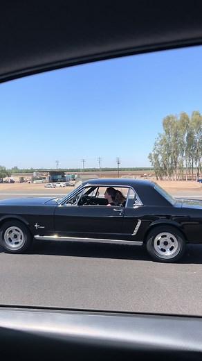 Classic Mustang - Lana Del Rey Songs and Vintage Cherry Red Models