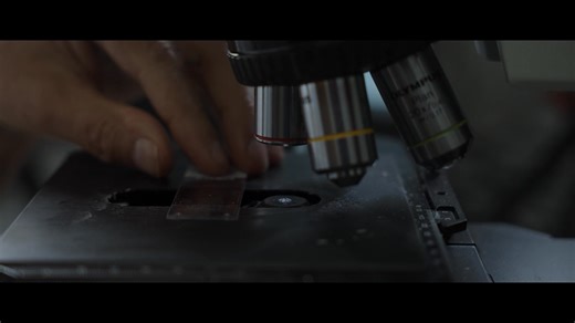 5.4K views · 20 reactions | One word, abnormal, can change everything. At Hartford HealthCare, national expertise, life-saving technology and compassionate, coordinated care are all in one location. There is no more waiting. Excellence is who we are. | WTNH News 8 | Facebook