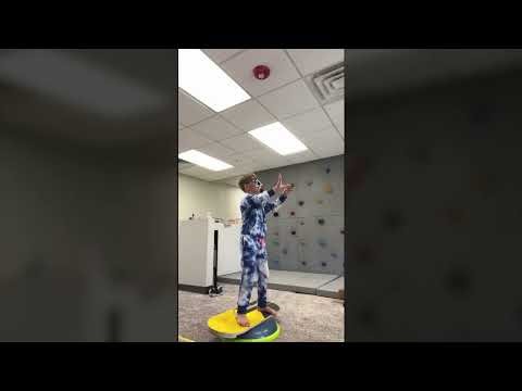 Vestibular and Ocular Integration: The Vestibular System: Postural Reflexes Part 1