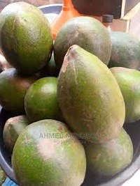 20 Health Benefits of Osu Fruit (Hunteria Umbellate) - 9jafoods