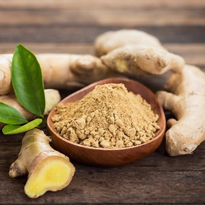 Ginger Powder Manufacturers Wholesale Bulk Suppliers in USA