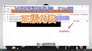 全球最高效的window下载软件，比迅雷，IDM什么的良心多