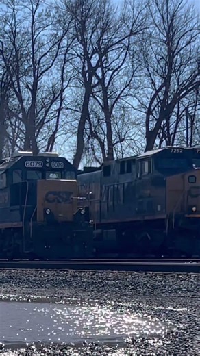 I157 passing L040 in Kingston Yard! #csxrailroad #train #csx #short
