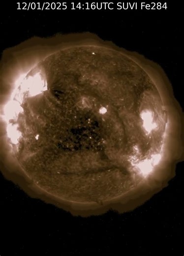 Sun 24 Hour Timelapse | Iron XV / 284 Å | Extreme UV (December 01, 2025) #shorts