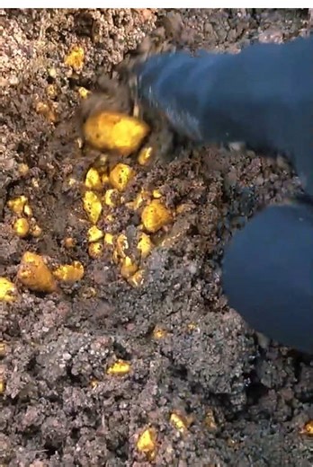 Exciting Treasure Finds: Gold and Diamonds Await