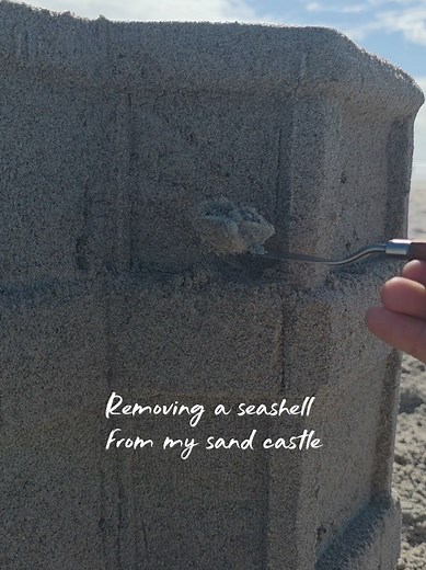 Them damn shells I found this shell while sculpting and thought id show how I handle removing it. Luckily, it was an easy process. I have to move slowly and carefully to minimize damage. Repairing the hole was simple once it was removed! #asmr #seashell #satisfying #sand #sandcastle