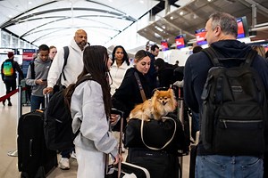 Dependant visas: 9 countries you can study and bring family