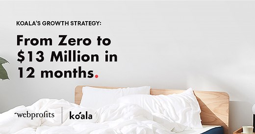 From Zero to $13 Million in 12 months - Koala's Growth Strategy - Webprofits Blog