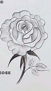 136K views · 2.4K reactions | Easy Drawing Rose | Pencil sketch #drawing #pencildrawing #pencilsketchpencil | Drawing Book | Facebook