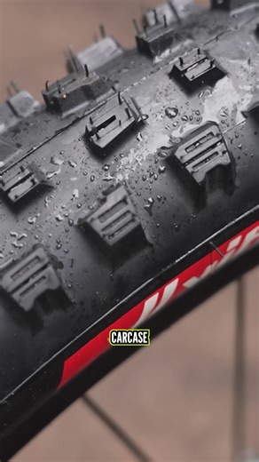 Interesting Mountain Biking Facts You Should Know