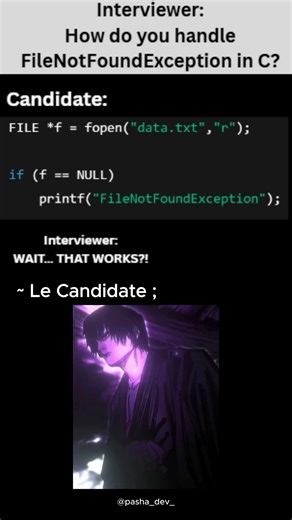 C doesn’t throw FileNotFoundException…Real C programmers detect it manually. 😎💻