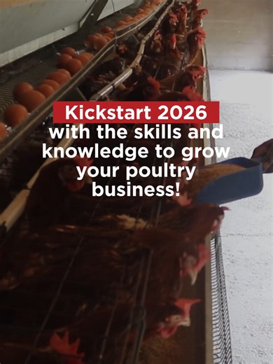 Poultry Production Course to Grow Your Business