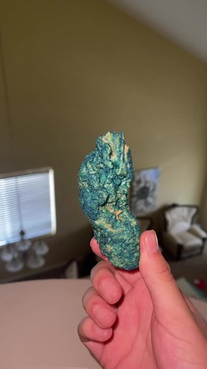 World's Biggest Taki - Exploring the Enormous Takis Around the Globe