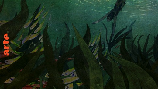 Das Mädchen im Wasser - Film in voller Länge