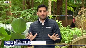 Dinosaur Discovery at Woodland Park Zoo