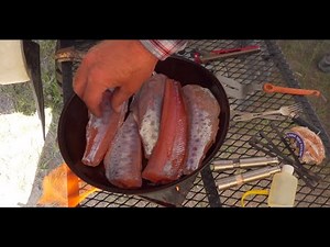 Family Camping, Trout Fishing & Tacos, Pack Goat Training, Ti Firebox 5" Stove Testing.