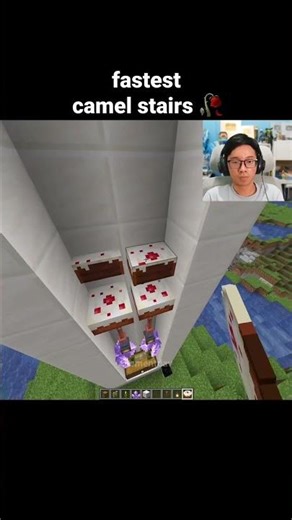 Minecraft Camel Stairs Moment