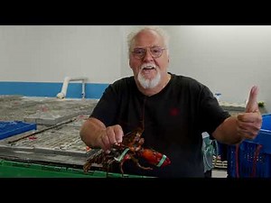 A Taste of History Season 13 - First Look Trailer!