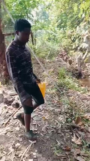 Explore the Innovative World of AI with BalliBot Mogis