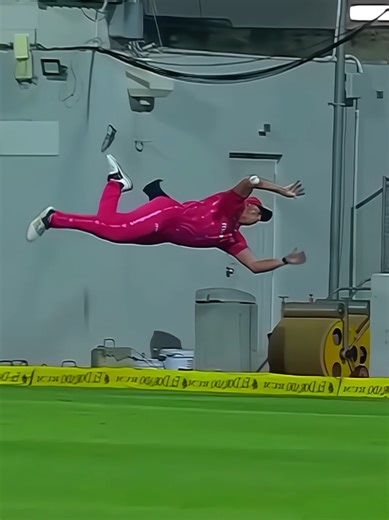 Best Fielding Moments in Cricket History