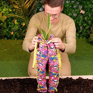 1.8M views · 20K reactions | The pros don't want you to know these gardening secrets! | 5-Minute MAGIC | Facebook
