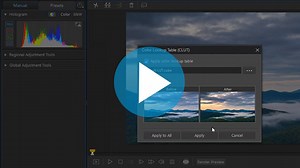 ColorDirector – 汇入输出和自定义LUTs调色档