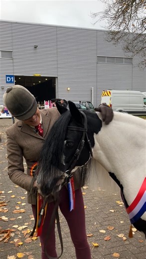 📢 CUTENESS OVERLOAD!! 📢 Congratulations to Clare Castle and the lovely RSPCA Minnie, who were crowned champion in the SEIB Arena. They were called to the top of the line in the Rescue Horse & Pony in Hand SEIB Search For a Star Championship. Minnie has overcome difficult beginnings to shine in her forever home – hear more about her story in her owner’s words #yourhorselive | Your Horse Magazine