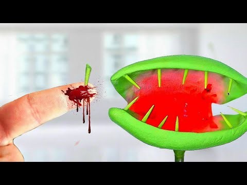 Venus FLYTRAP Bites finger