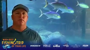 Win the Best fishing trip of your life with Two Conchs Sportfishing and Reel Life. We are giving away a chance to come fish with us, for FREE, down here in the beautiful Florida Keys. A total value of up to $4,999.99. in prizes! And just for participating, get 40% off at Reel Life online store. No purchase necessary. Click the link for more details. https://reellifegear.com/pages/two-conchs-contest | Reel Life | Facebook