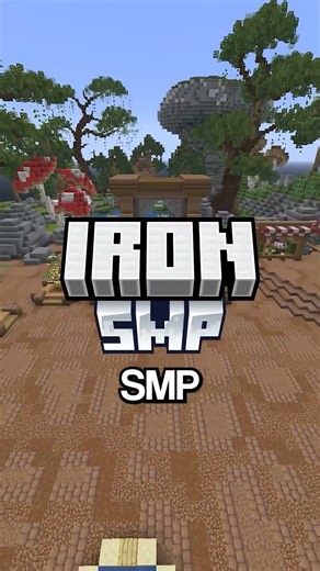 Best Minecraft SMP