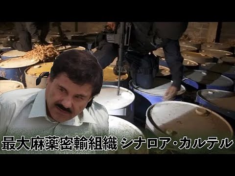 史上最強の麻薬組織 シナロア・カルテルの実態