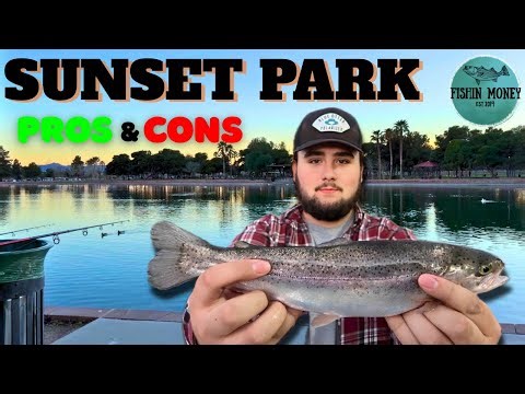 Is Sunset Park Worth Fishing? (Honest Review)