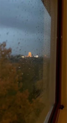 ASMR Rain on Window 🌧️ Gentle Thunder & Relaxing Sleep Sounds