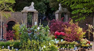 Hillier Garden Centre in Syon Park, Brentford