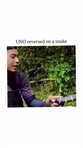 MeMo | 🐍 Serpentine Reversal: A Viral Phenomenon A precise analysis of the uploaded short-form content reveals a man successfully performing a... | Instagram