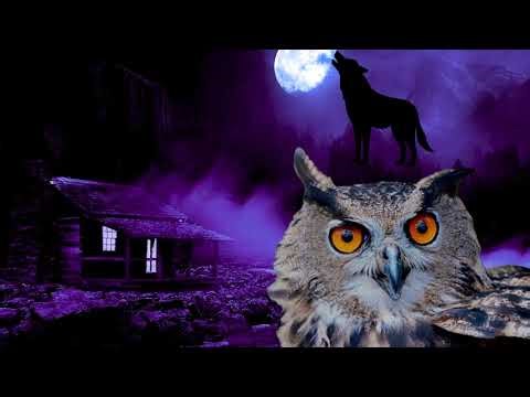 wolves howling sound, wolf sound, owls sound, owl hoot