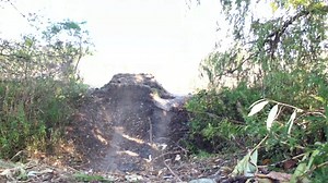 a 360 and a backflip