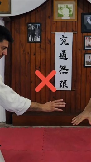 Aikido San Luis on Reels