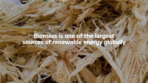29 reactions | Biomass is one of the largest sources of renewable...
