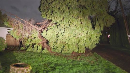 'Extra concerned': Portland transportation experts warn of flooding, power outages during atmospheric river