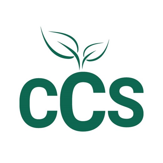 Direct Support Professional