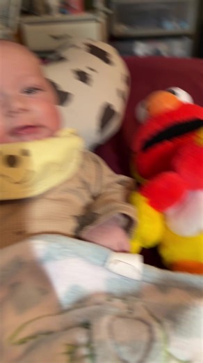 Elmo fan