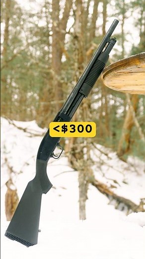 Mossberg Maverick 88 (best budget shotgun)