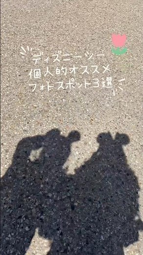 東京ディズニーシーで絶対撮るべき、おすすめ【フォトスポット3選🐚✨】