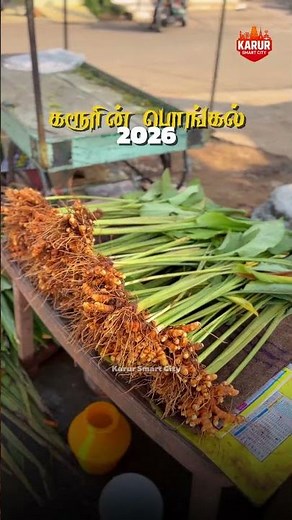 Pongal Sale 2026 | Karur in Pongal | Karur Smart City
