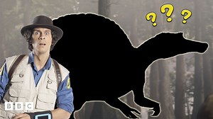 Guess the Prehistoric Creatures