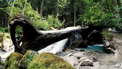 Free video - Waterfalls, Torrent, River