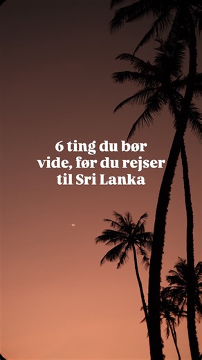 Joey Limburg | Slow Travel Fam. | 🇱🇰 Sri Lanka har taget os med storm. Det er et fantastisk land og noget af det allerbedste er befolkningen! Her er 6 ting, som er rare at... | Instagram