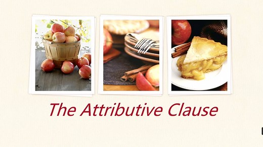 The attributive clause 定语从句